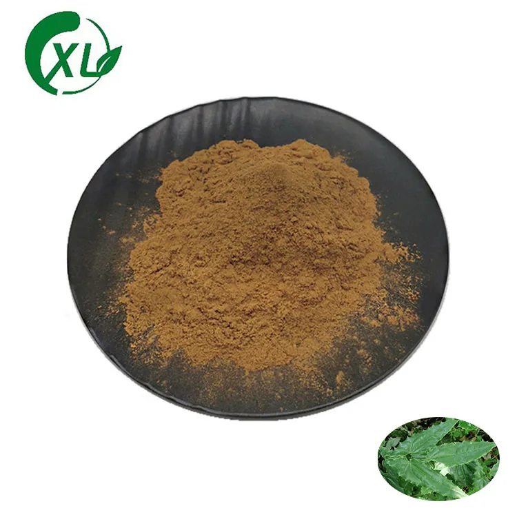 Hot Selling Wholesale High Quality Bulk Horny Goat Weed Extract Epimedium Extract Powder