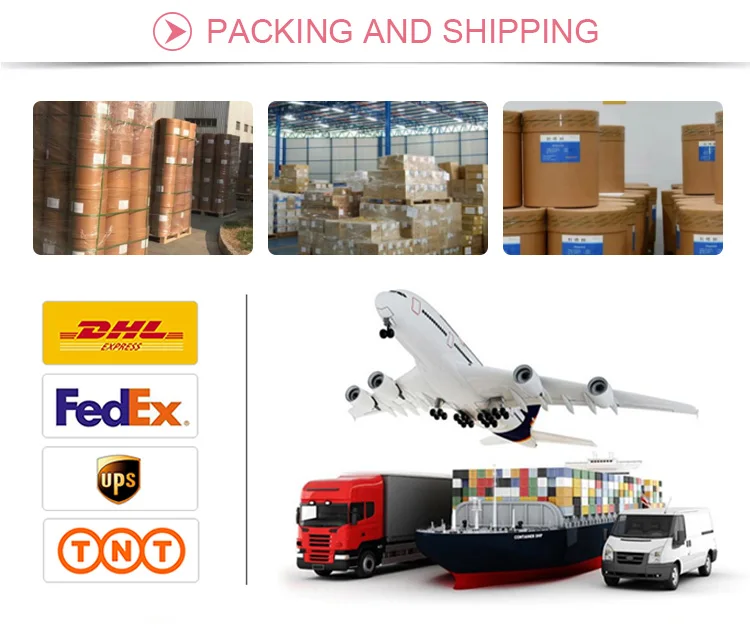 Collagen Drink Beauty Sea Cucumber Peptide Collagen Supplement Beauty Collagen Drinks Liquid Sea Cucumber Drink For Skin