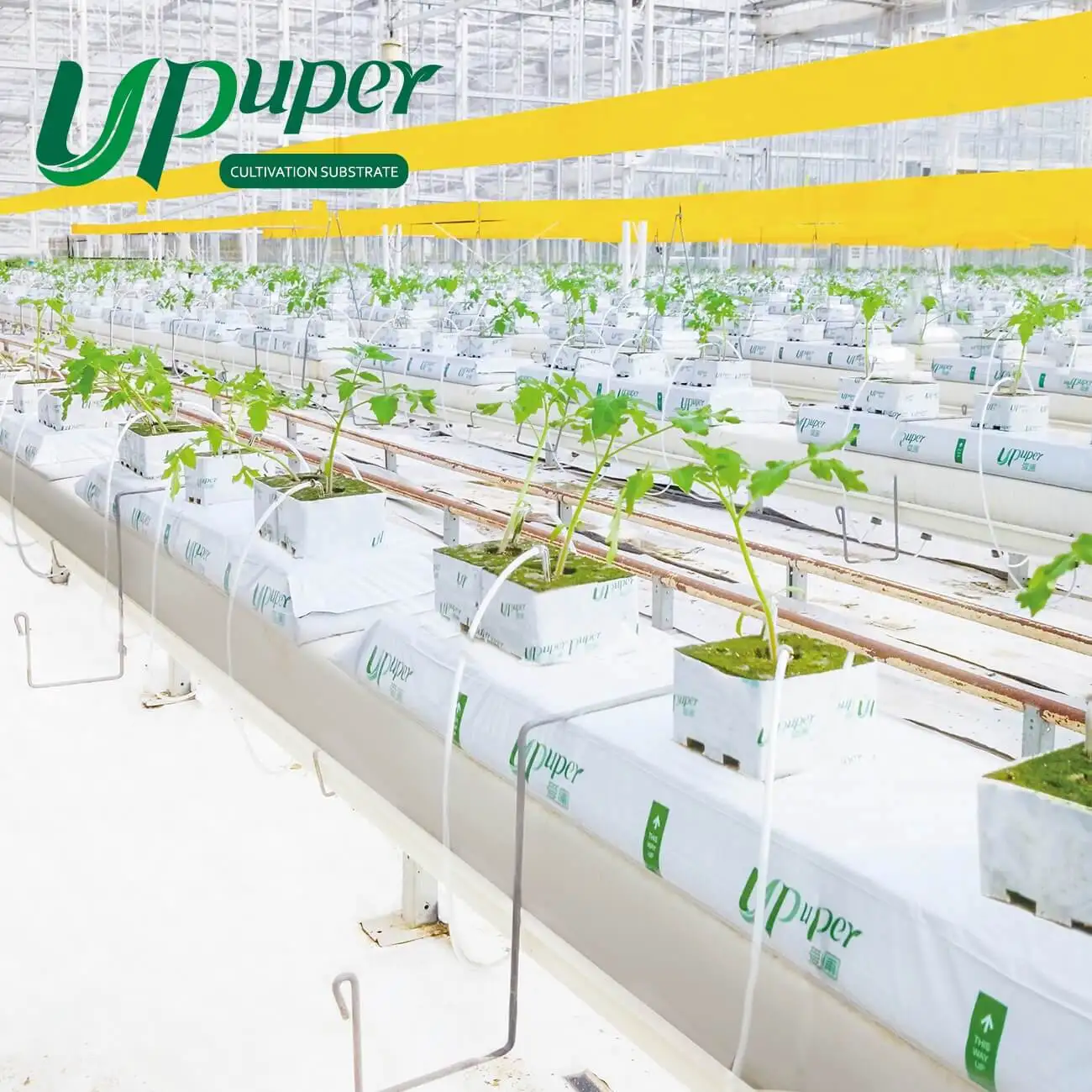 Производитель UPuper cs 75 40x8x3 дюйма оптовая продажа тепличных томатов садовых гидропонных плит из минеральной ваты