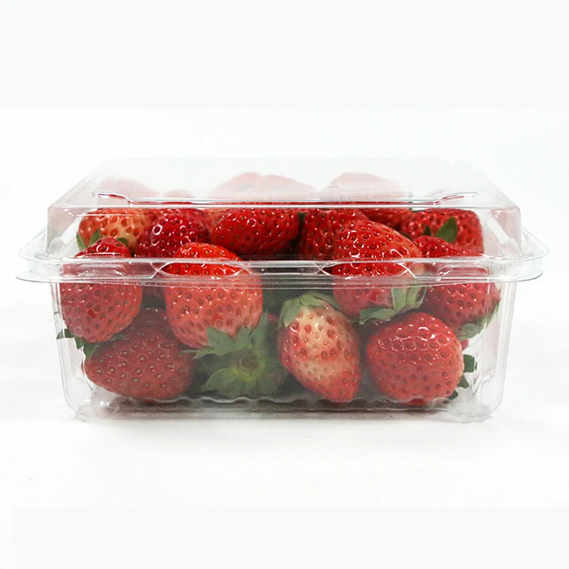 Food Container with Dome Lid Fruit and Salad Packaging Box Transparent PET Plastic Disposable OEM ODM Custom Embossing