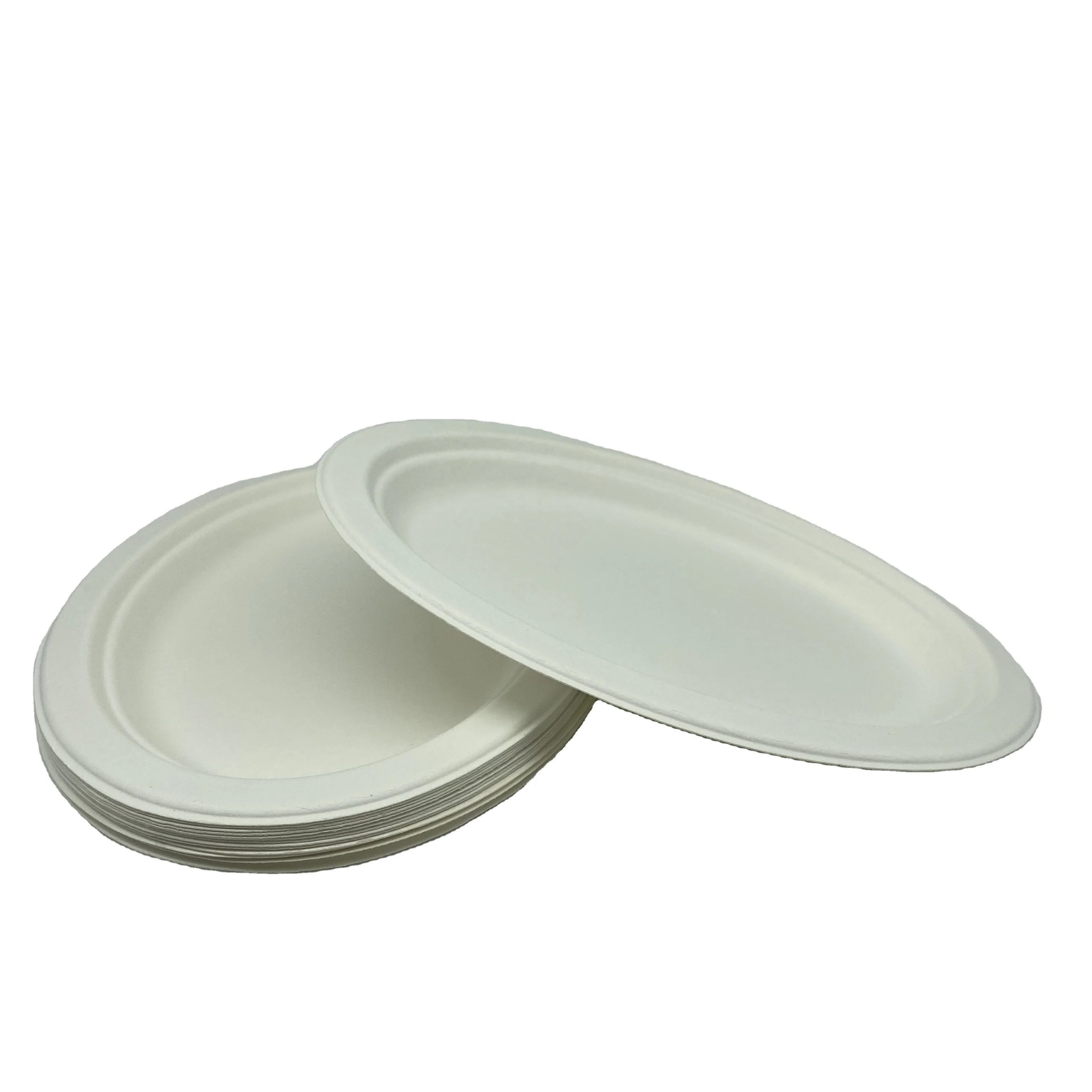 
Eco-friendly Disposable Biodegradable Sugarcane Bagasse Cheese Plate Tableware 