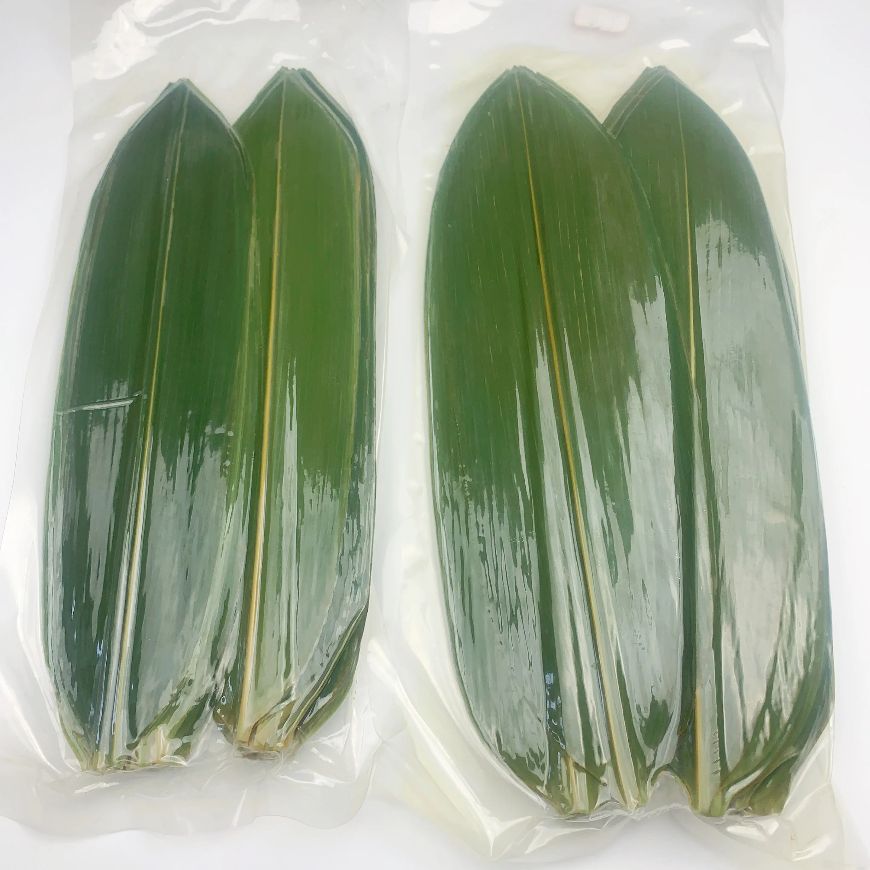 Vacuum-Packaged Supply of Native Bamboo Leaves - Unveiling the Beauty of Nature and Freshness