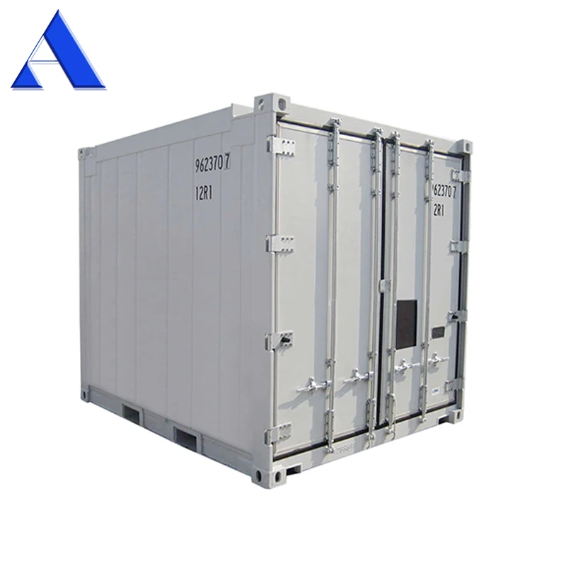 DNV 2.7-1 New 10ft Freeze Container Offshore Reefer Accommodation Stainless Steel Container DNV Certified Freeze Container