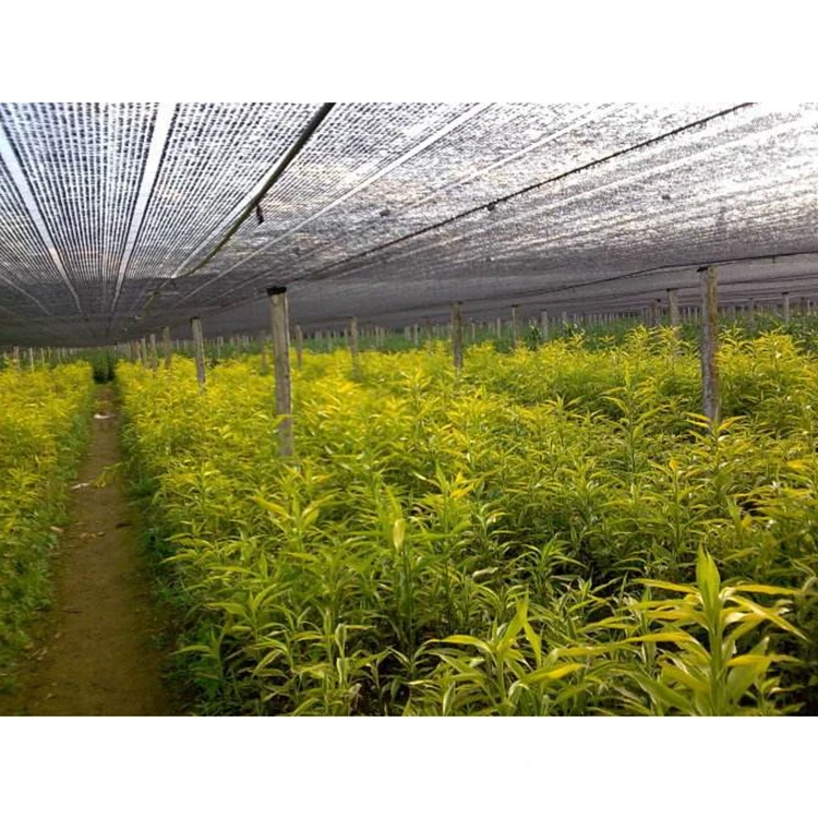 Hot Sale Sunshade Sails Garden Agriculture Sun Shade Net