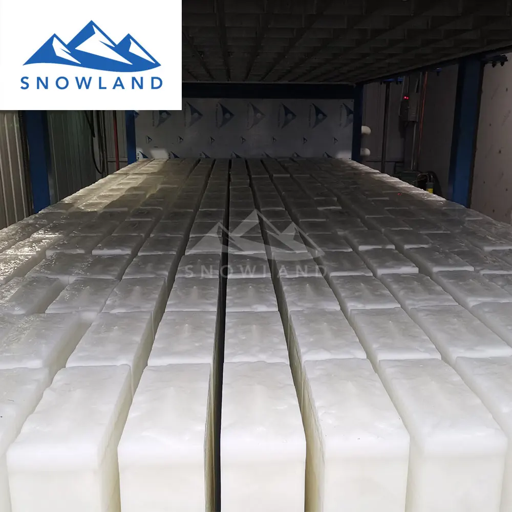 
ice manufacturing machine with 18 ton capacity block ice 