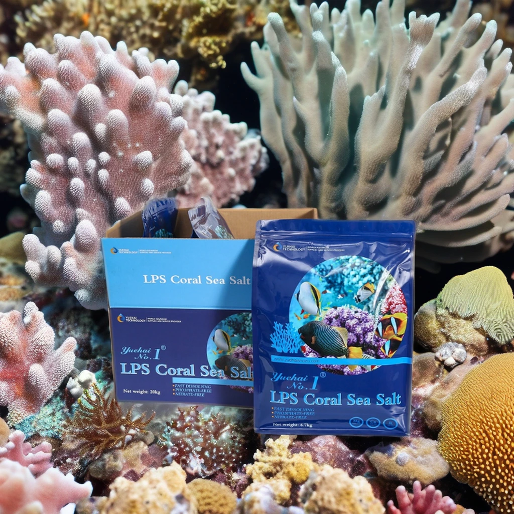 2024 New Marine Aquarium Glass Tank LED Light Reef fish Tank High Quality Factory Sea Salt