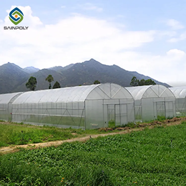 Professional High quality smart agricultural greenhouse farm for sale