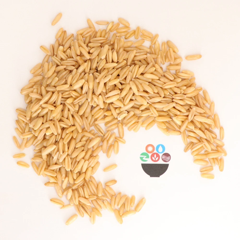 High Quality Oat Grain Hot Selling Original Flavar Bulk Unhulled Yellow Oats Seeds Sale