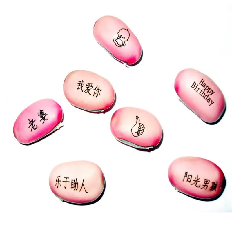 DIY Magic Bean With Wishes For Home Decoration Or Green Office