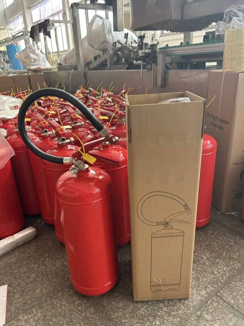 6kg 9kg CE standard ABC Dry Powder Fire Extinguisher with Accessories