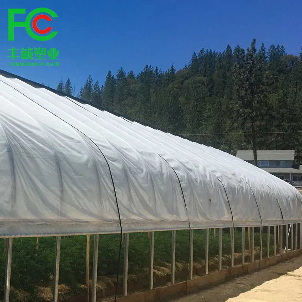 Factory Polythene Plastic Silage Silo Film bunker Silage Covers black And White Plastic Sheeting
