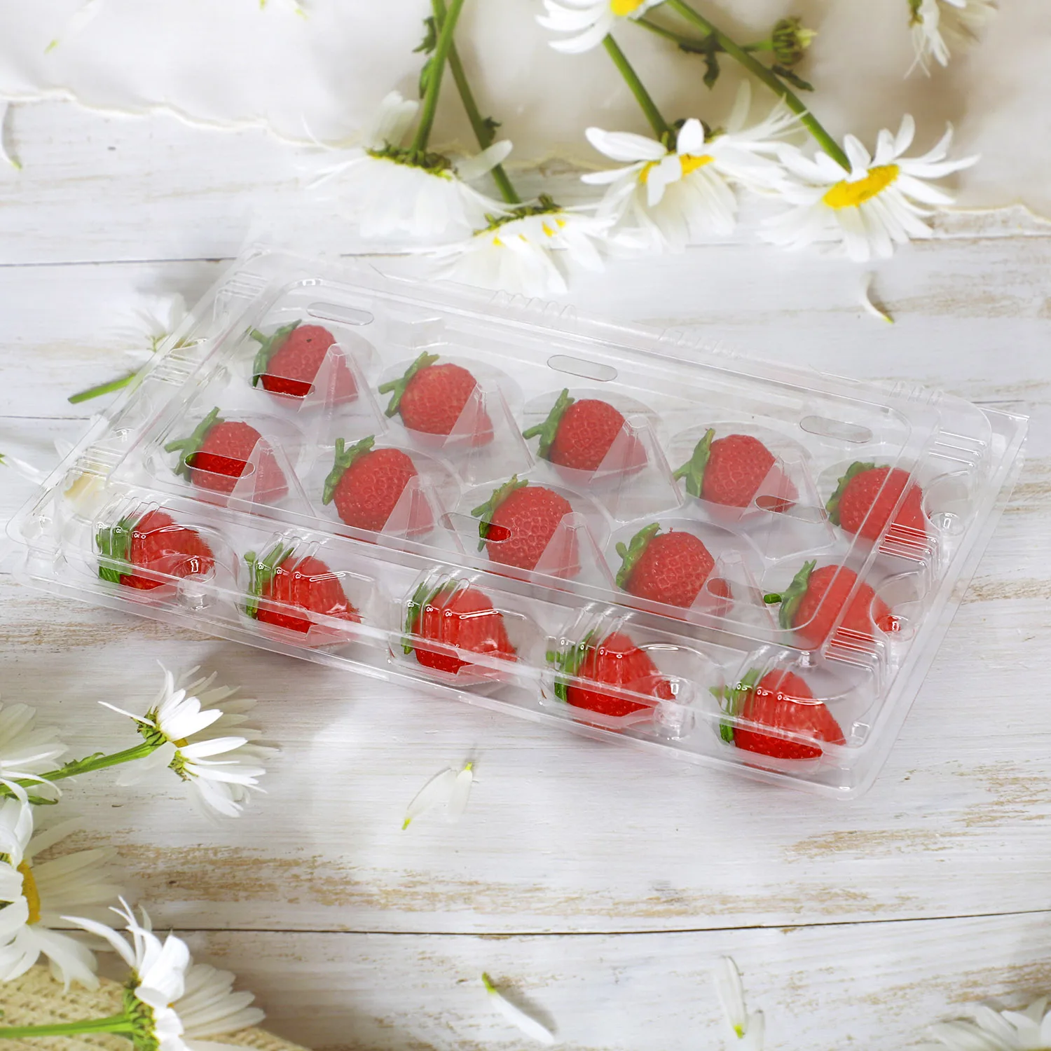 
 disposable clear plastic 15 HOLES strawberry fruit container clamshell  