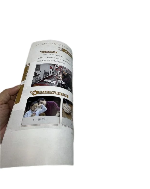 Books Bulk Story Collection 3D De Custom Bible Loader Magazine Biblias Reina Burn Book