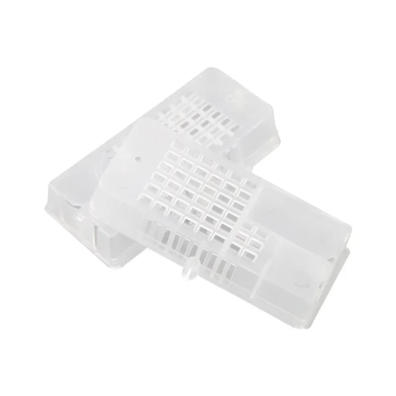 White Transparent  Bee Cages Light Weight Plastic Beekeeping Rearing Cups Kit Bee Queen Cages Beekeeper Equipment Tools