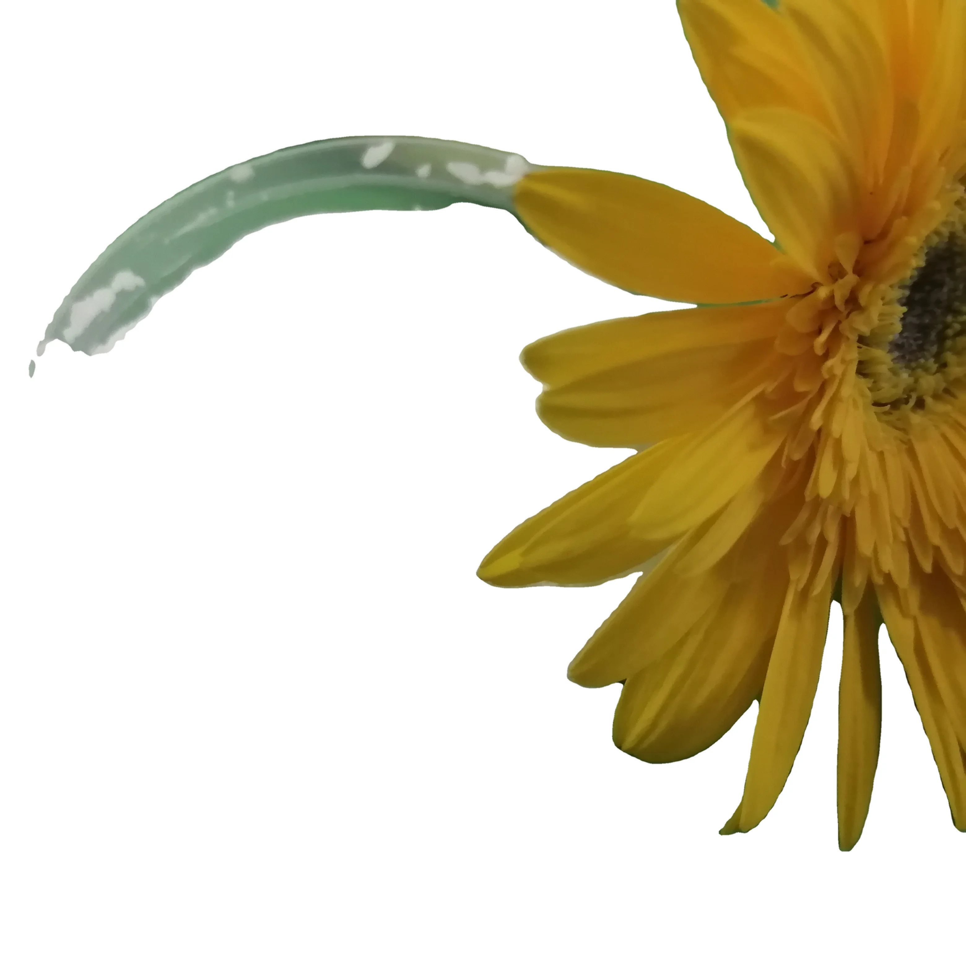 Food Grade DKP Price dipotassium phosphate fertilizer dkp dipotassium hydrogen phosphate k2hpo4