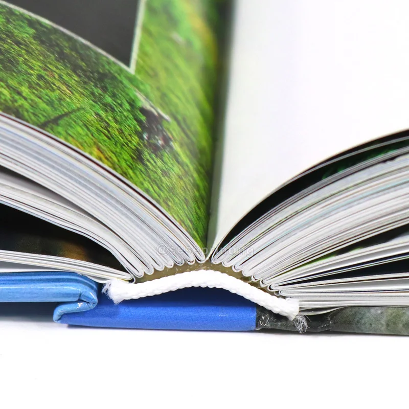 Недорогие услуги книгопечатания издание буклета журнальные брошюры каталог фотографий фото поваренная печать бумажных книг