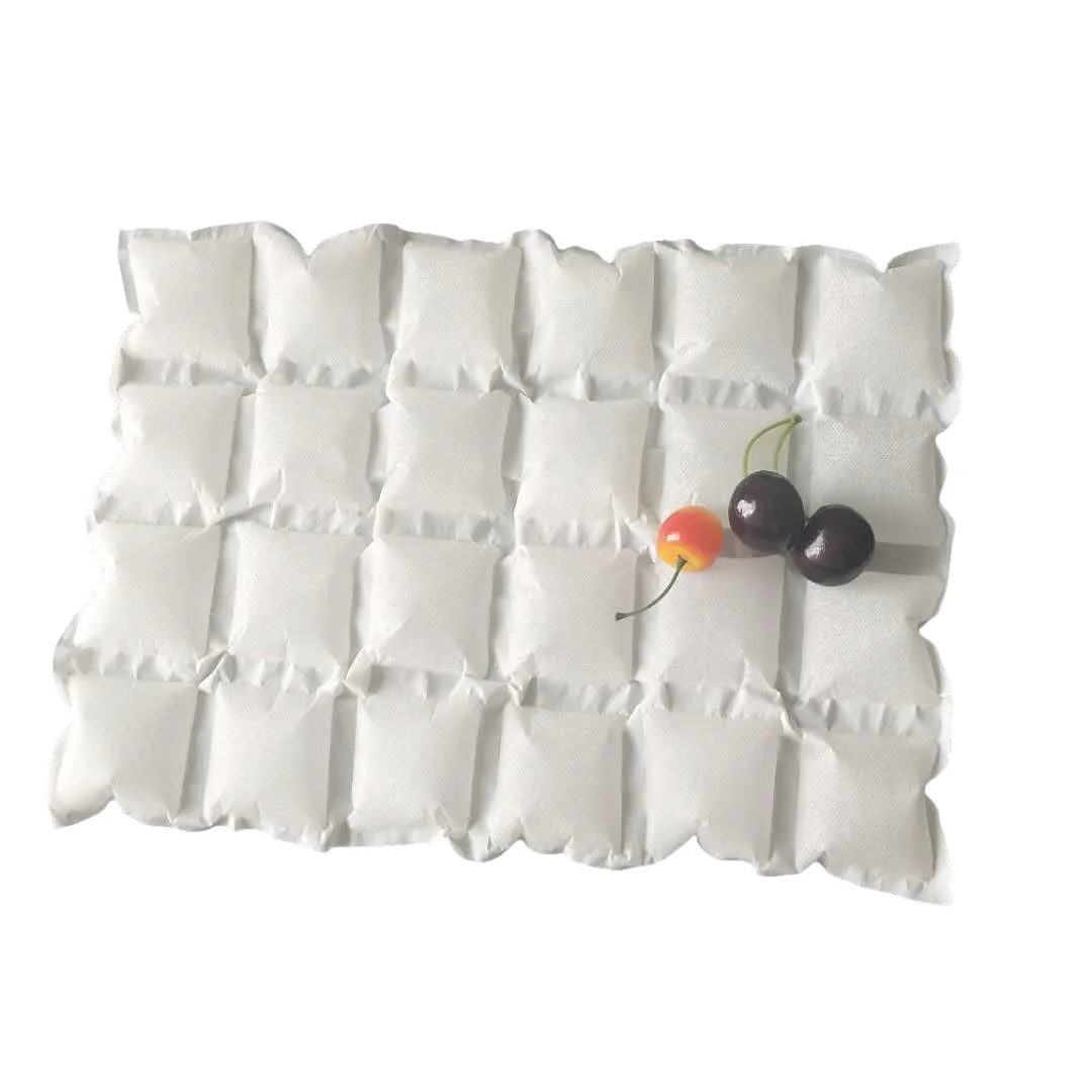 Easy to Transport Light Weight Dry Ice Pack Sheet Fozen Food Storage,rehabilitation Therapy Supplies Hot & Cold Packs 3824999990