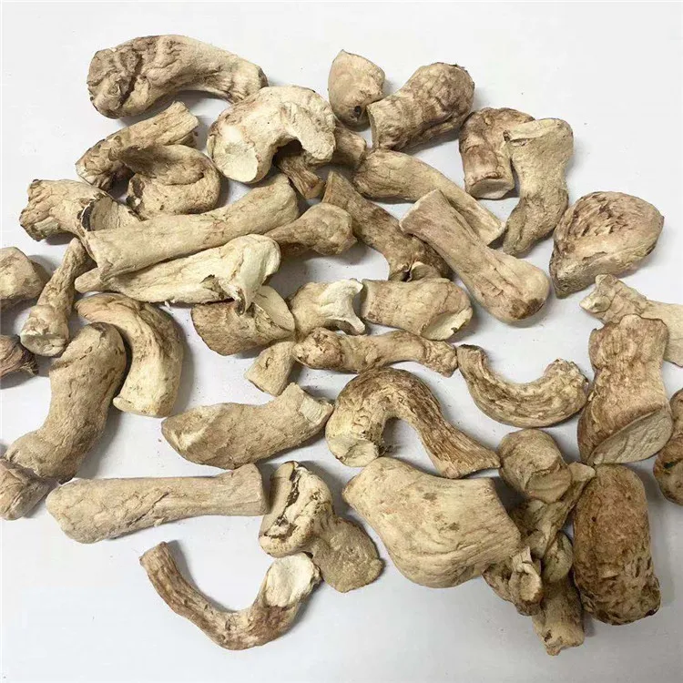 Outstanding Quality Shiitake Foot Shiitake Mushroom Stem Mushroom Root