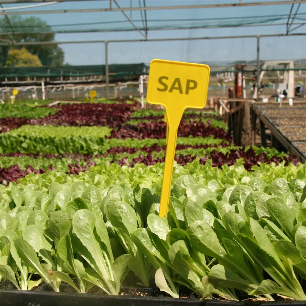 Water-Retaining Agent SAP/Water Absorbent GEL Potassium Polyacrylate KPAM for Agriculture/Forestry