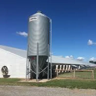 Современная сборная стальная конструкция цыпленок птицефабрика дизайн дома бройлеры куриные