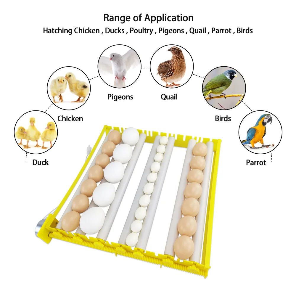 wholesale automatic fully roller type high quality mini electric 220v 110v chicken eggs mini incubator