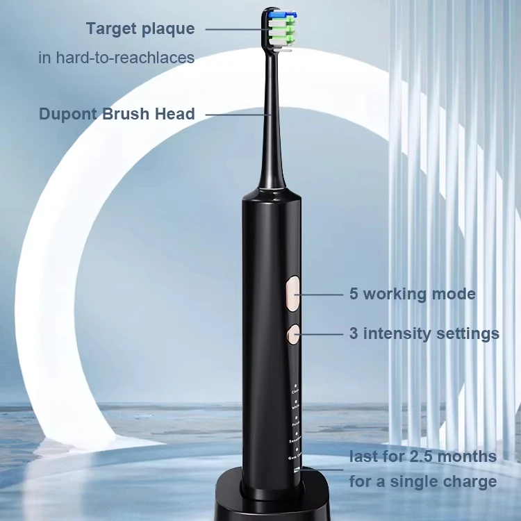 Adult sonic toothbrush Medium Dupont Bristle 5 Modes 2000mAh Lithium Battery 75 days time of endurance
