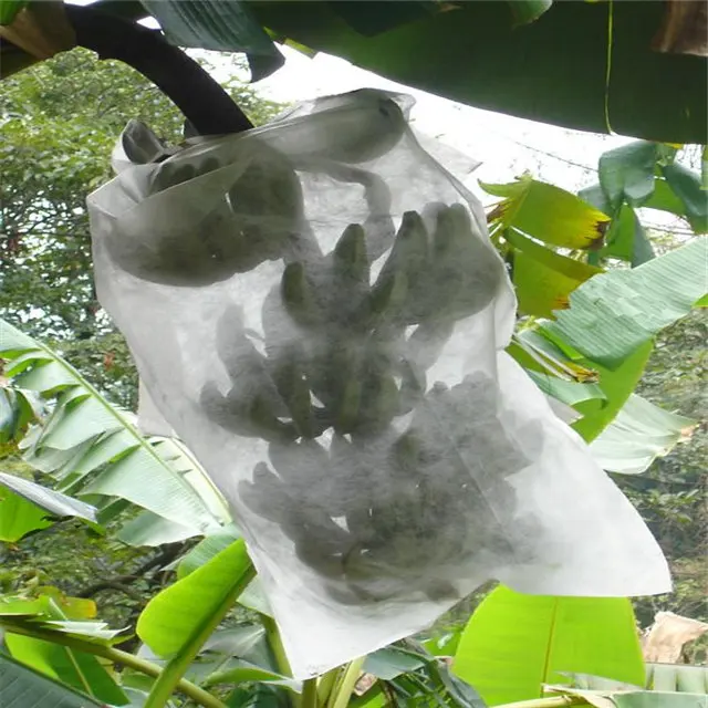 Anti-UV Treatment pp Spunbond Nonwoven Fabric Fruit Cover/fruit