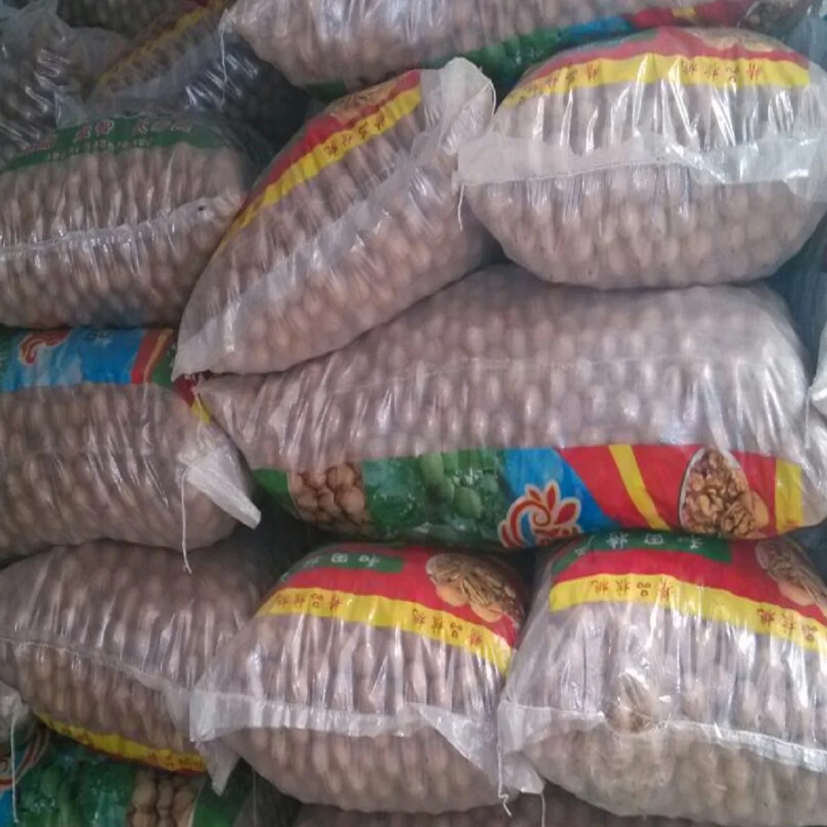 Wholesale High Quality Dried Raw Walnut 33x185 Big Bulk Paper Shell Walnuts Wallnut Style at Competitive Prices