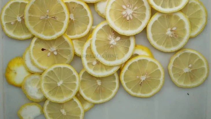 Fruit potato avocado slicer coconut cutter plantain banana chips making machines