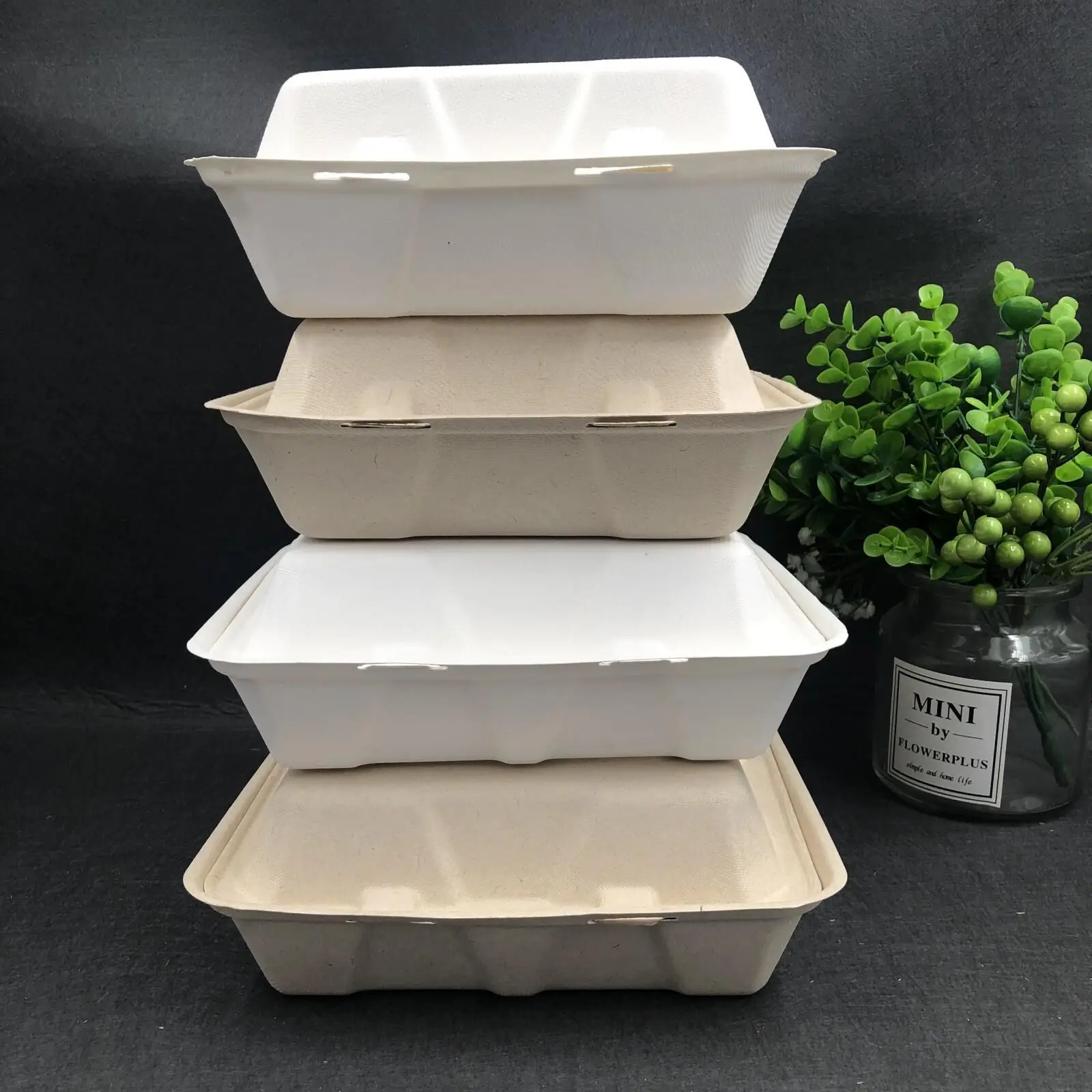 Bio food container bagasse 9*3 inch biodegradable biodegradable food container