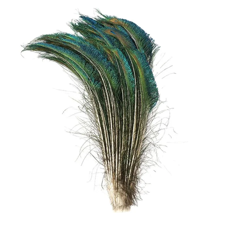 Wholesale 30-35cm natural peacock sword feathers for decoration
