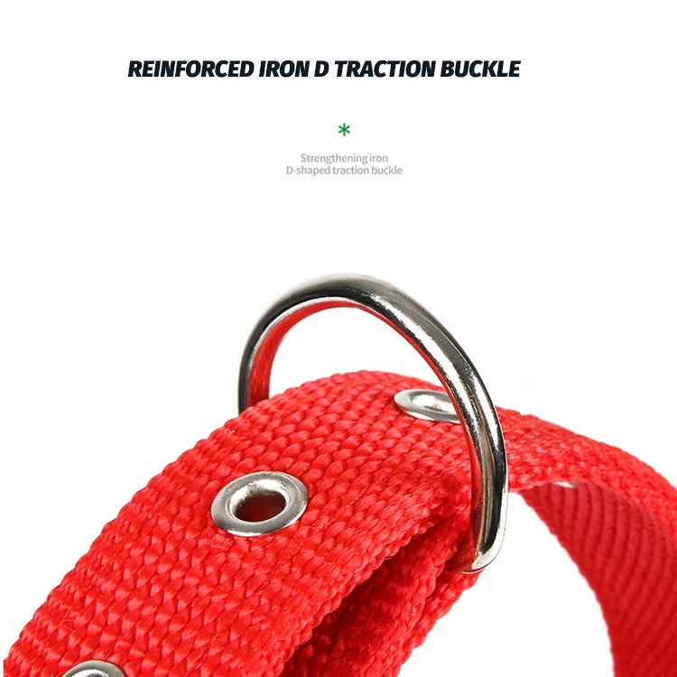 Wholesale Bravecto High Quality Nylon Futuro Collar For Dog Metal Buckle Pet Products Dog Collar