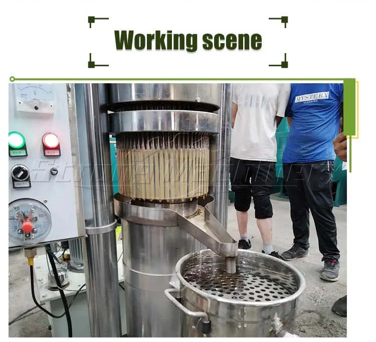 Small Automatic Hydraulic Cold Avocado Palm Sesame Oil Extractor Pressing Olive oil Press Machine
