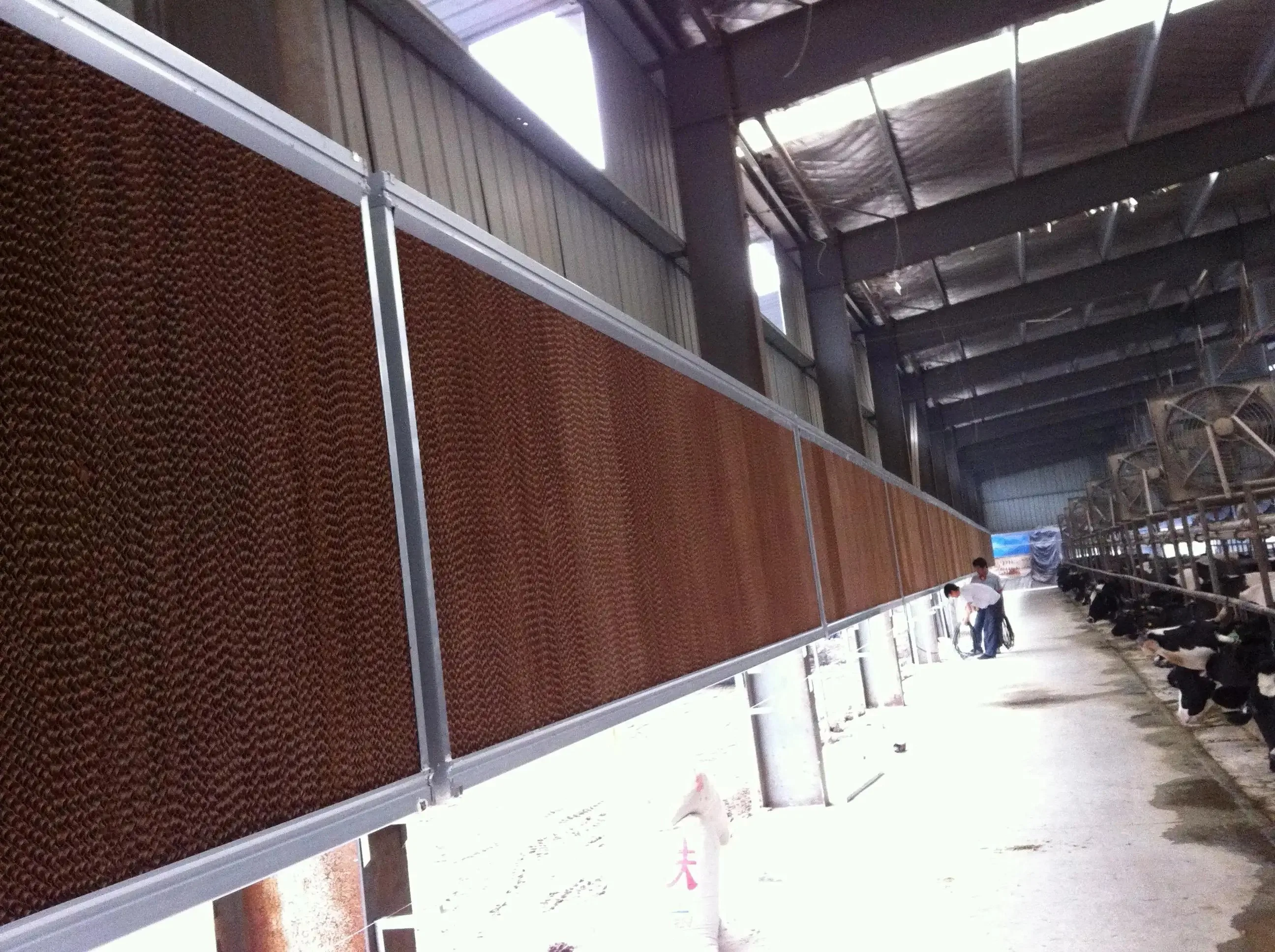 High Quality Greenhouse Poultry House Equipment Honeycomb Cooling Pad