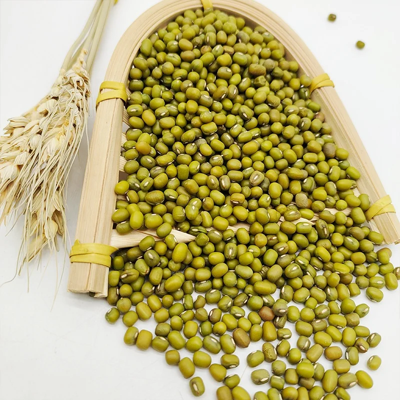 Без ГМО высокая скорость проращивания фасоль виноградника зеленая мунг зеленые граммы семян сушеная для продажи