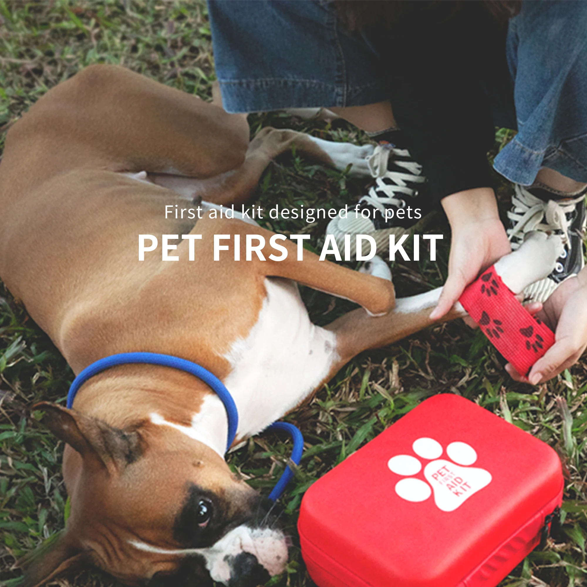 2024 wholesale OEM Approved Vet Approved Pet First Aid Supplies to Treat Dogs & Cats in an Emergency