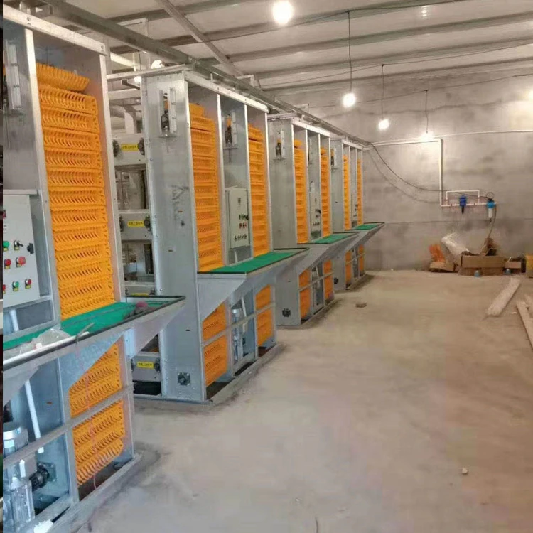 automatic layer chicken cage with automatic manure removal system