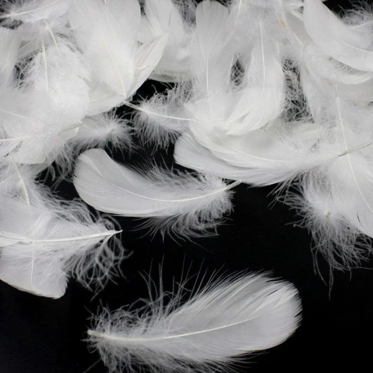 High-Quality Feathers and Down RDS Certificate Natural White 100% Washed Duck Feather 2-4cm for Pillow