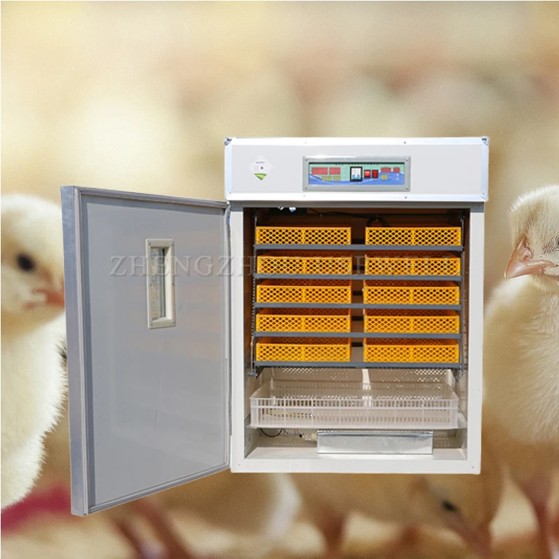 China Dual Power Imported Automatic Reptile Chicken Farms Used Eggs Hatcher Body Incubator Hatching Machine