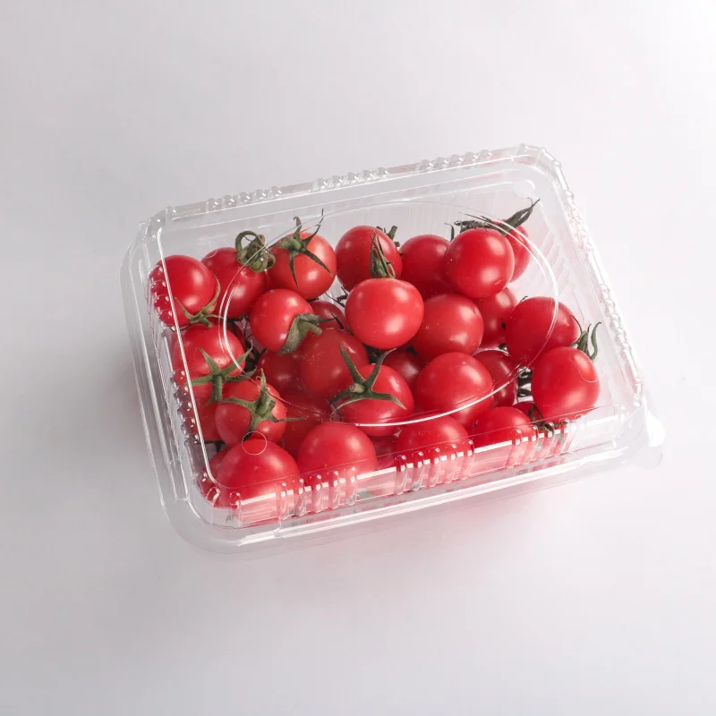PET clamshell takeaway box plastic disposable hinged fruit container with lid for supermarket