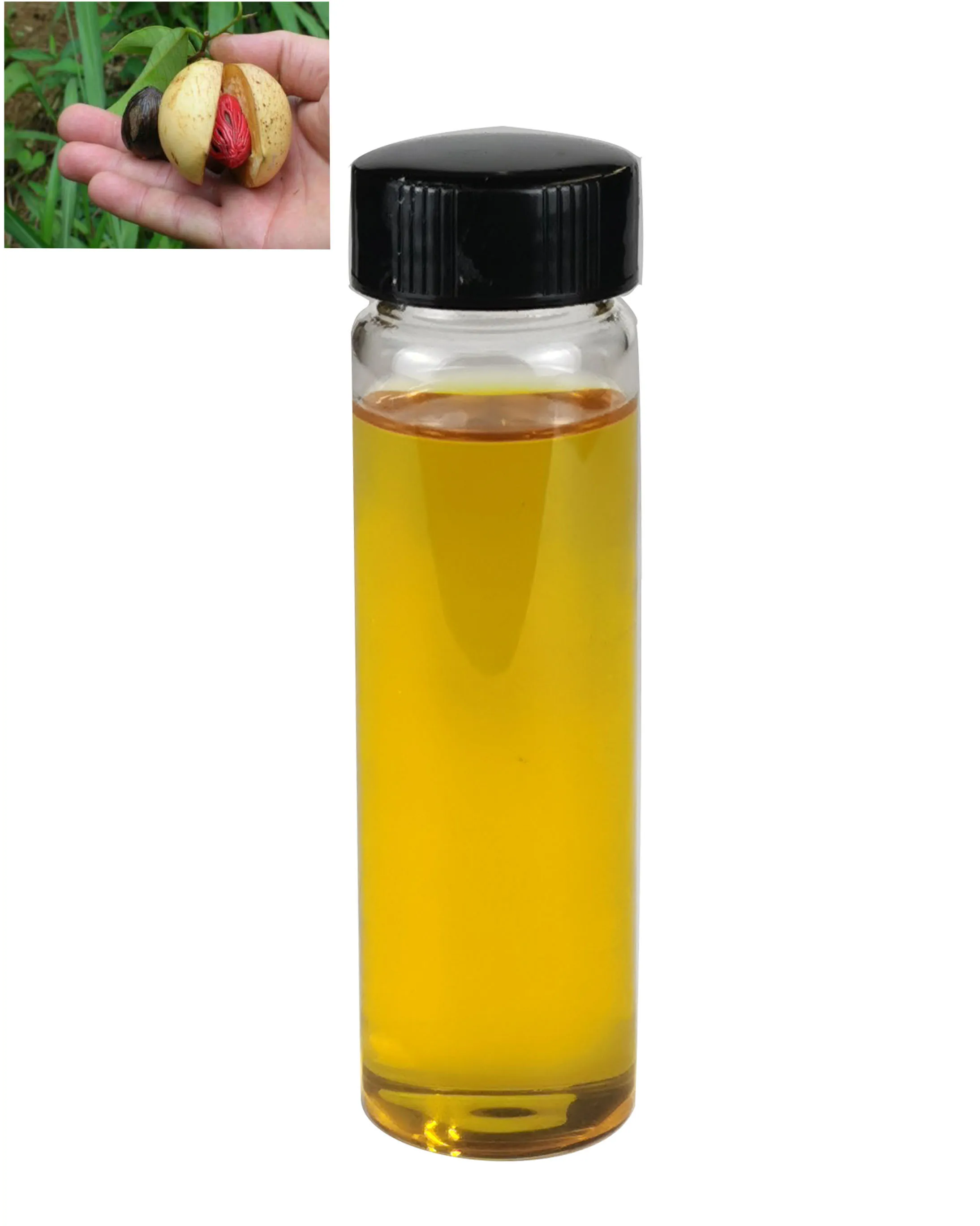 Therapeutic Grade 100% Natural & Pure Nutmeg Essential Oil