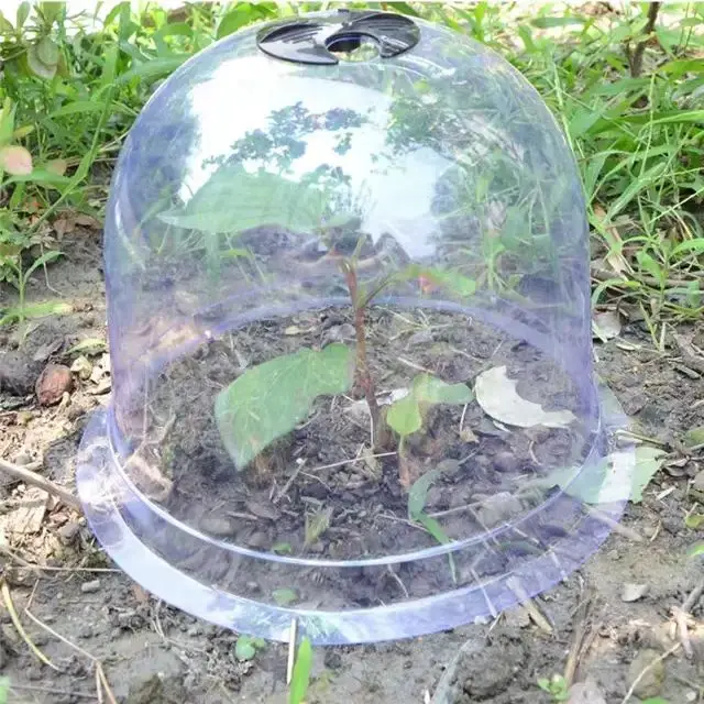 Manufacturer Price Greenhouse Protector Cloche Plant Bell Cover For Sale
