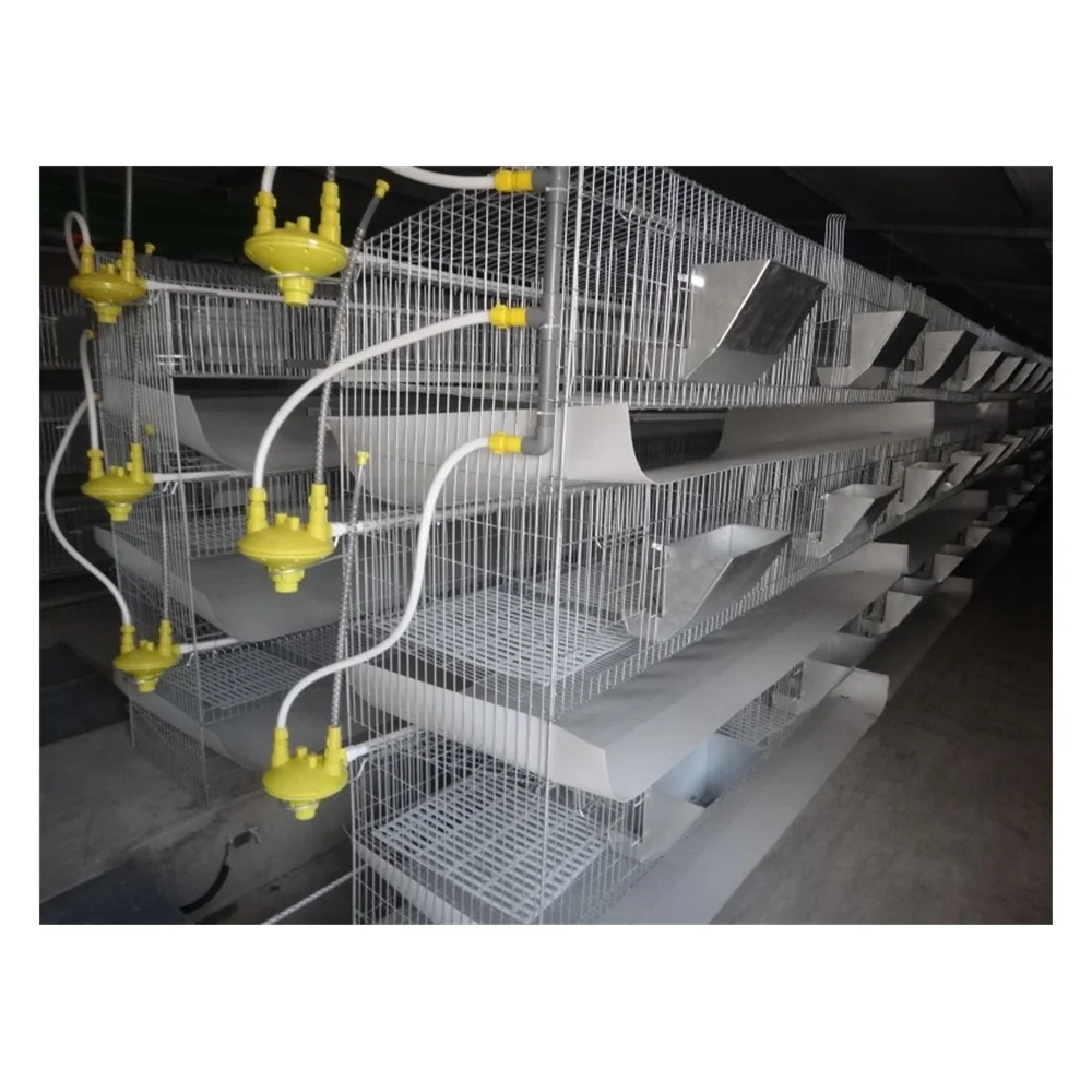 Оцинкованная железная проволока, сварная клетка для кролика, экологически безопасная (ISO9001)