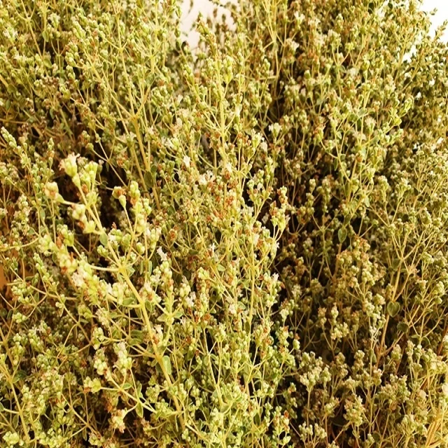 Wild Oregano Oil - Pure 100% from Turkey