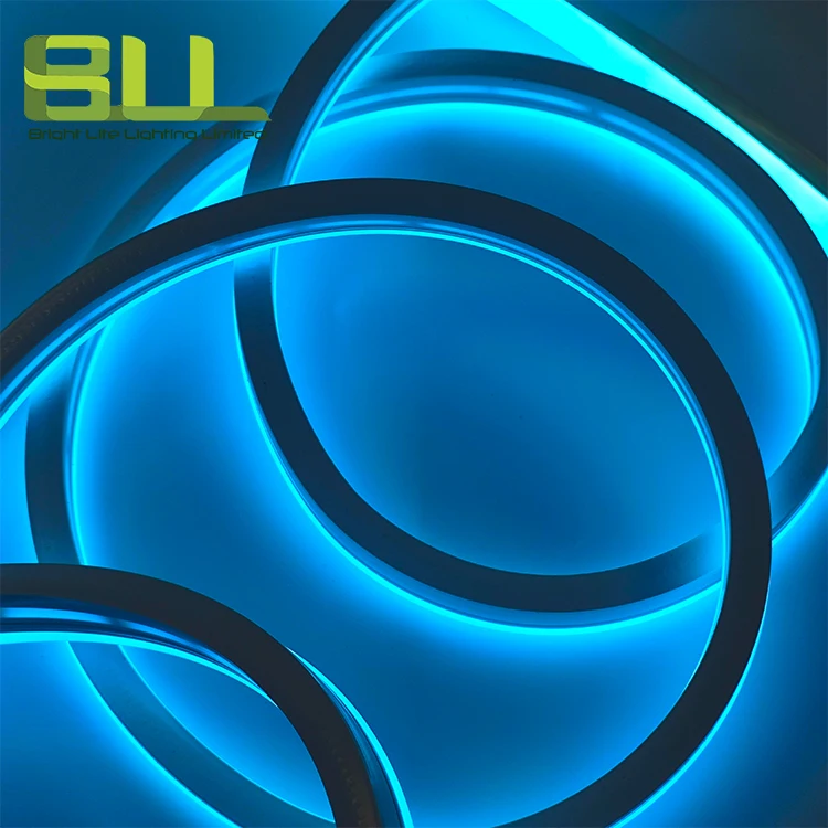 neon sign custom 0815 Ice Blue  16ft Roll 12v 24V LED Neon Flex Rope Lights Flexible Strip Light