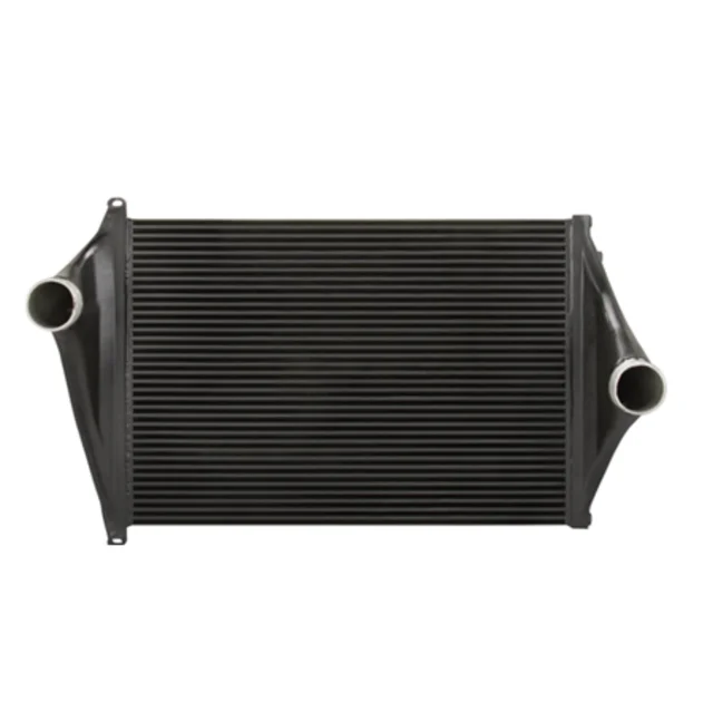 4859605001 Intercooler for Freightliner C120 2000