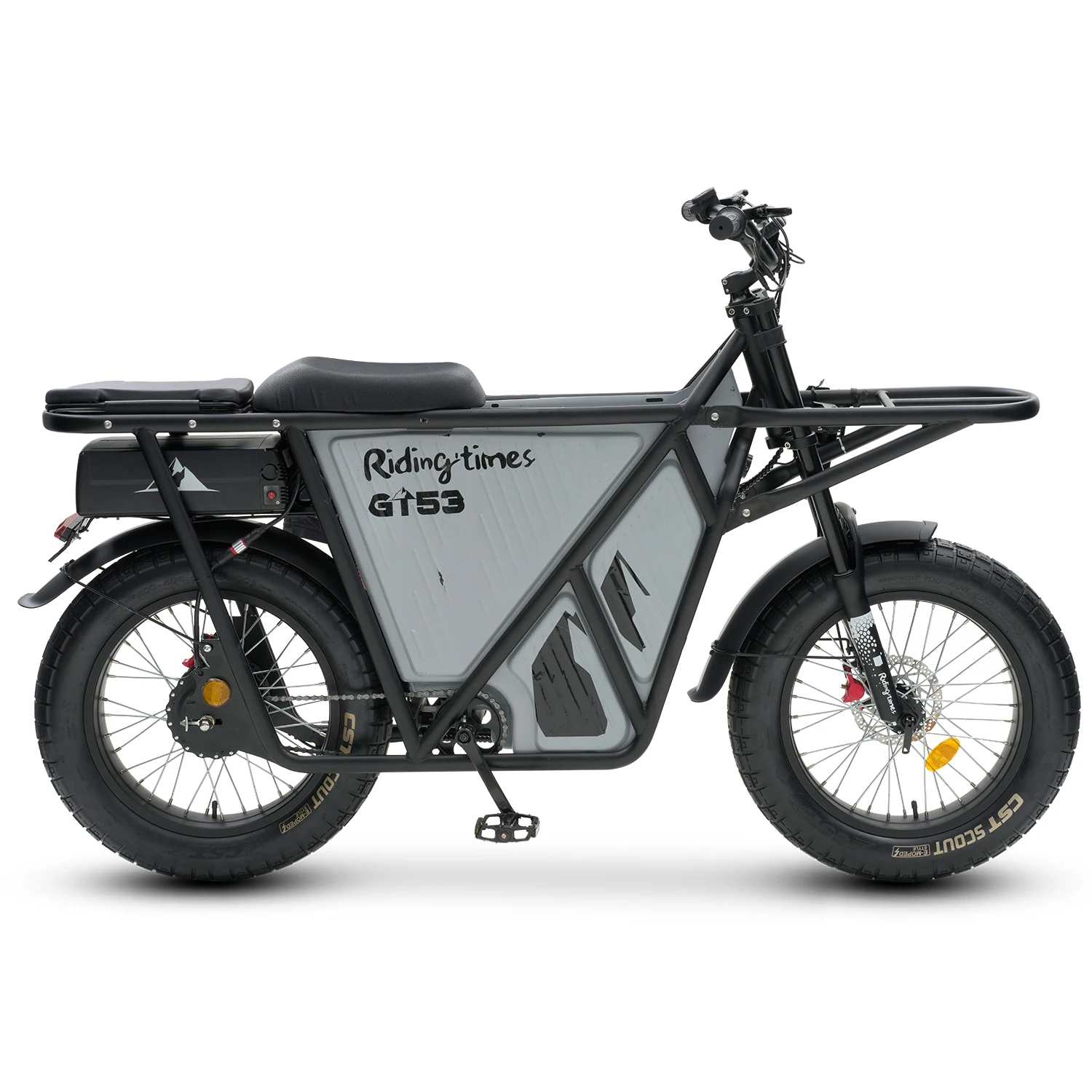 Hot sale powerful in the United States 750w 20inch Fat tire electric cargo city bike motorcycles