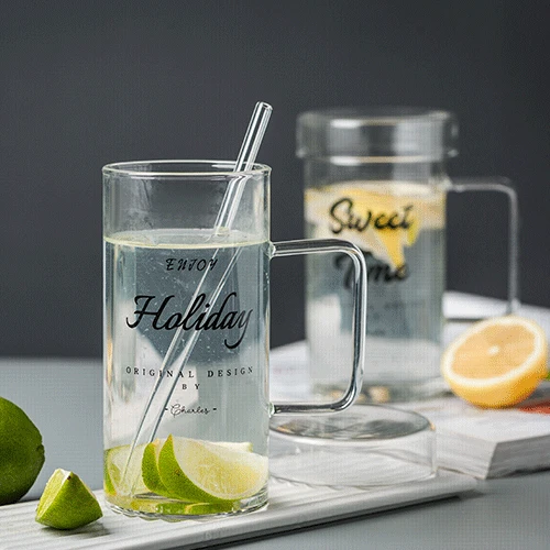 Wholesale Custom Logo 700ml Coffee Juice Cup Heat Resisting Single Wall Glass Water Bottle with Grip