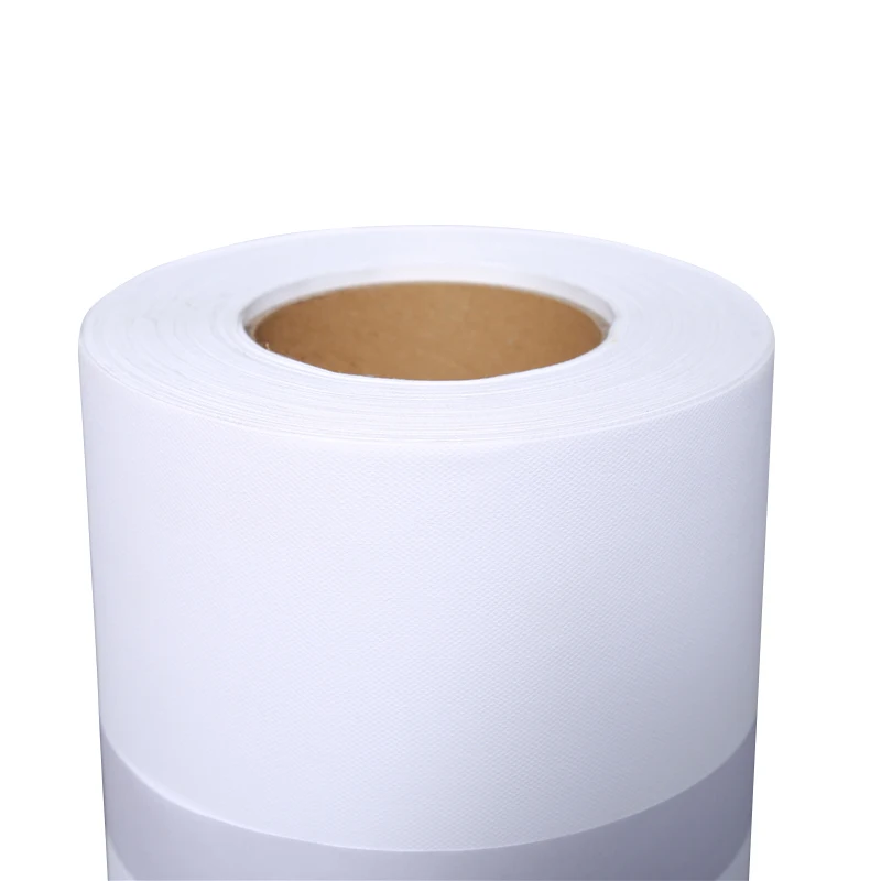 Customizable Designed 100% Polyester Art Canvas Stable Quality Art Print On Canvas