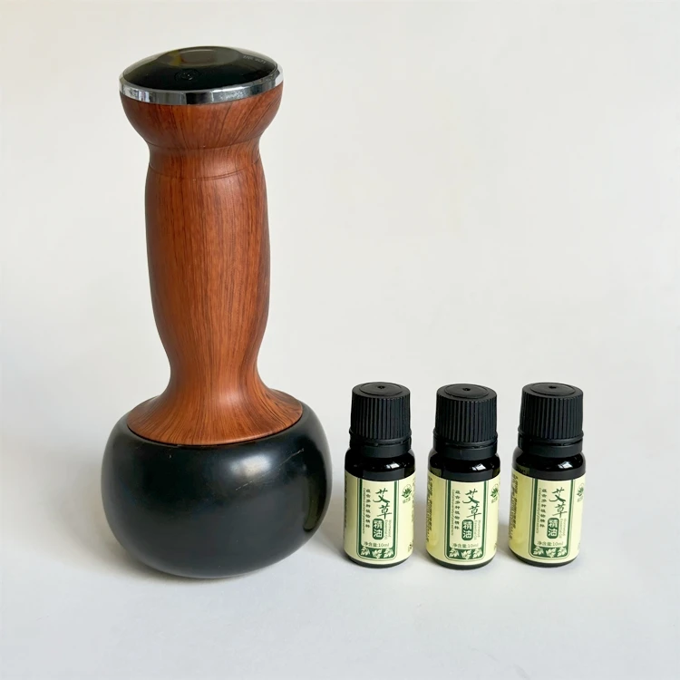 2024 Hot Sale Electric Meridian Bianstone Moxibustion Instrument Scraping Body Massage Meridian Health Care Tools